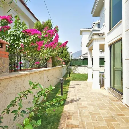 Elin Fethiye